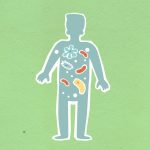 candidose et thyroide