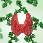 thyroide approche fonctionnelle micronutrition