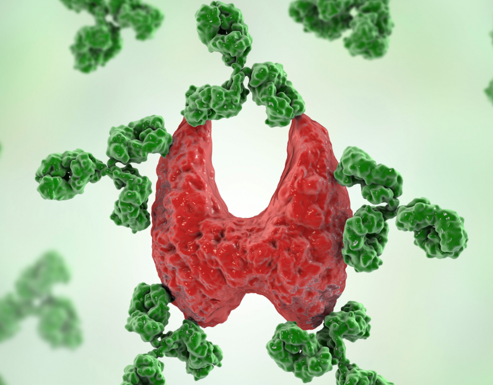 thyroide approche fonctionnelle micronutrition