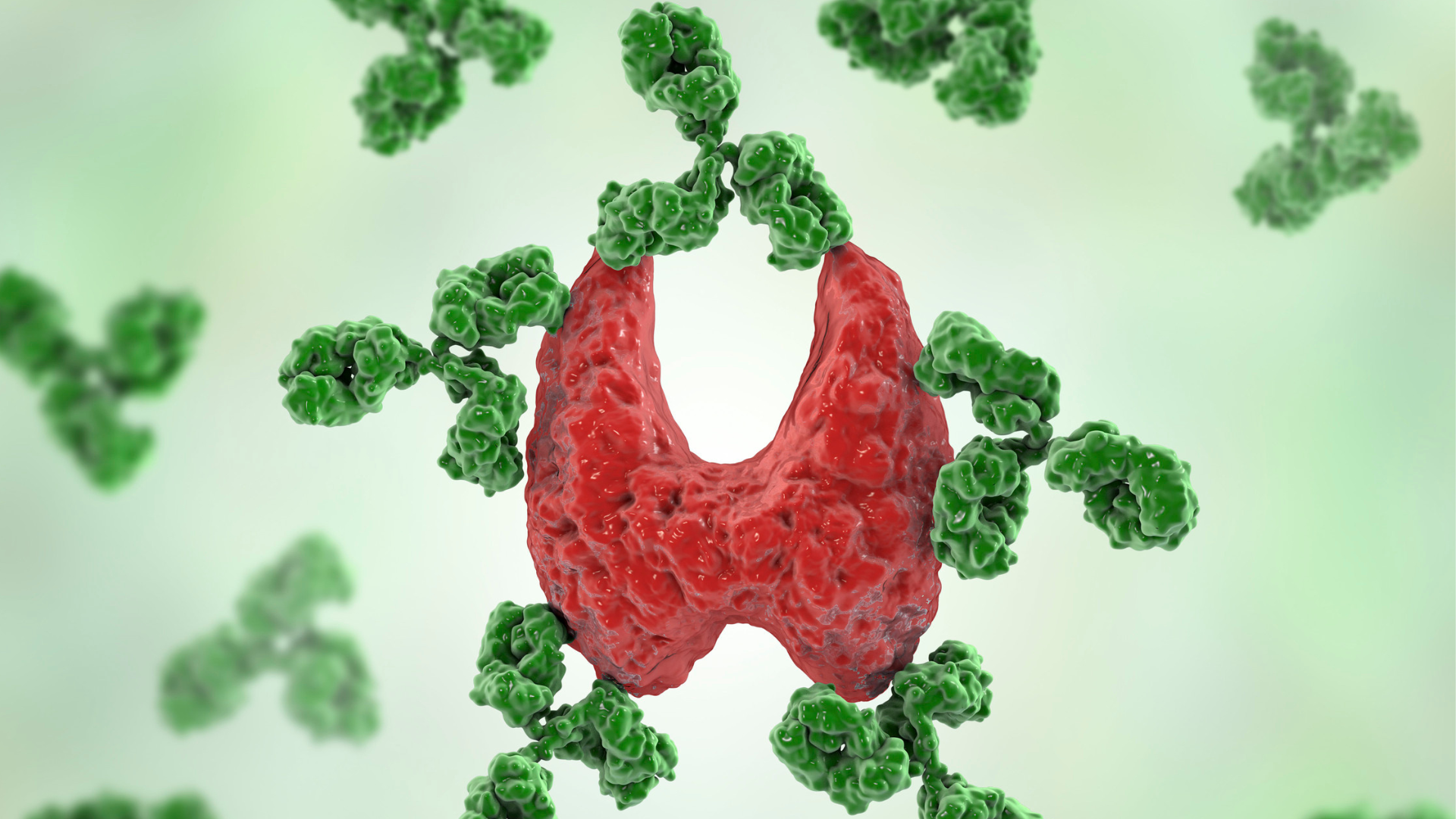 thyroide approche fonctionnelle micronutrition